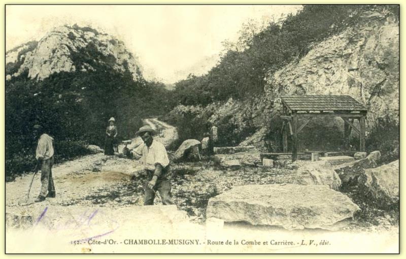 carrière_chambolle_musigny