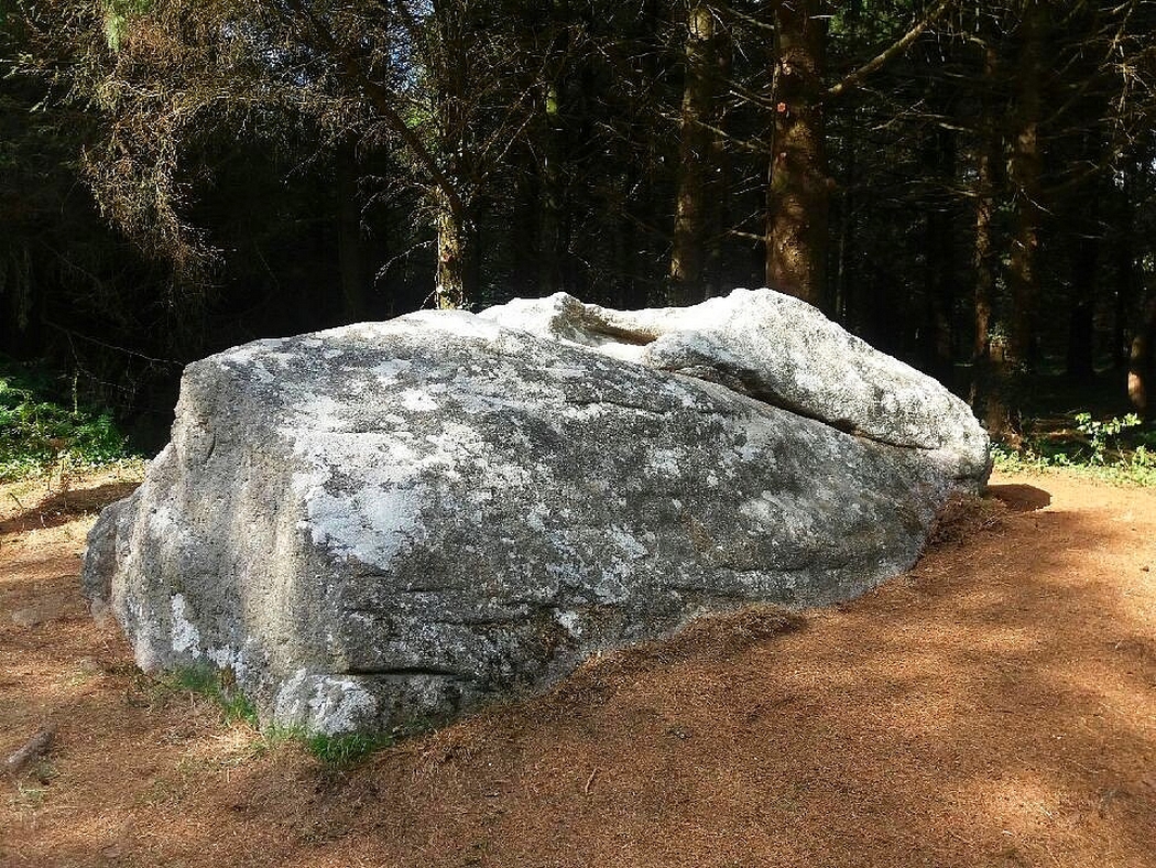 agrandir l'image